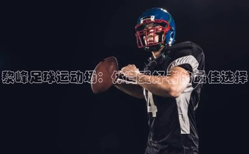 3377体育官方在线登录入口百度手机助手黎峰足球运动场：体育爱好者的最佳选择