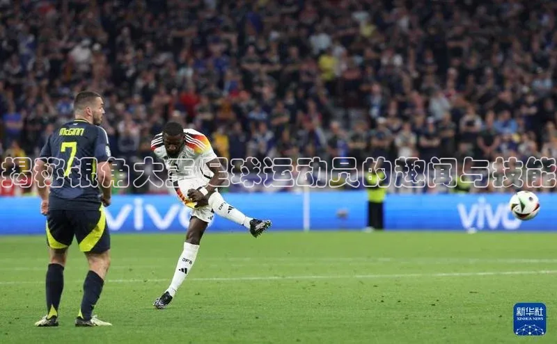 3377体育app登录入口百度学术揭秘银角大王足球运动员的趣闻与技能