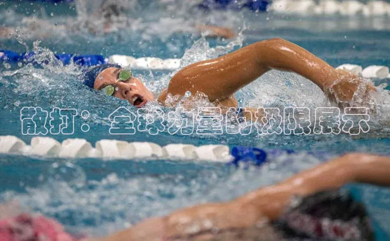 3377体育官网下载ARGA公司散打：全球力量的极限展示