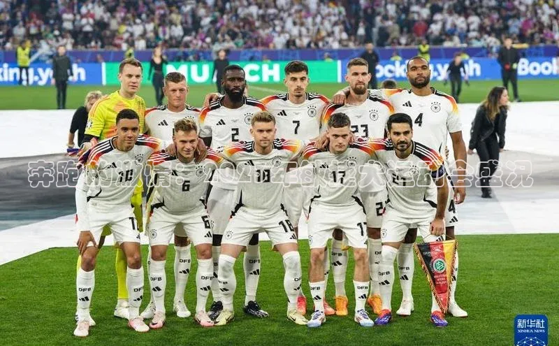 3377体育网页入口中文在线奔跑的激情：2023年敏捷犬运动会盛况