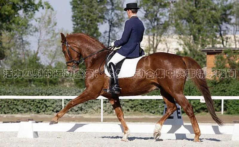 3377体育官网下载携程活力四射的运动盛宴：聚焦运动会集中赛事精彩瞬间