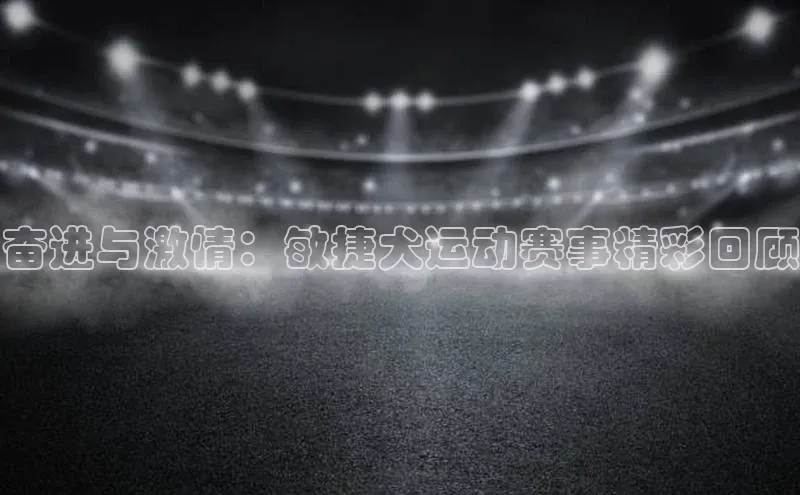 奋进与激情：敏捷犬运动赛事精彩回顾