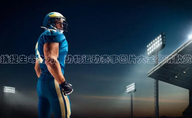 捕捉生命之力：动物运动赛事图片大全高清欣赏
