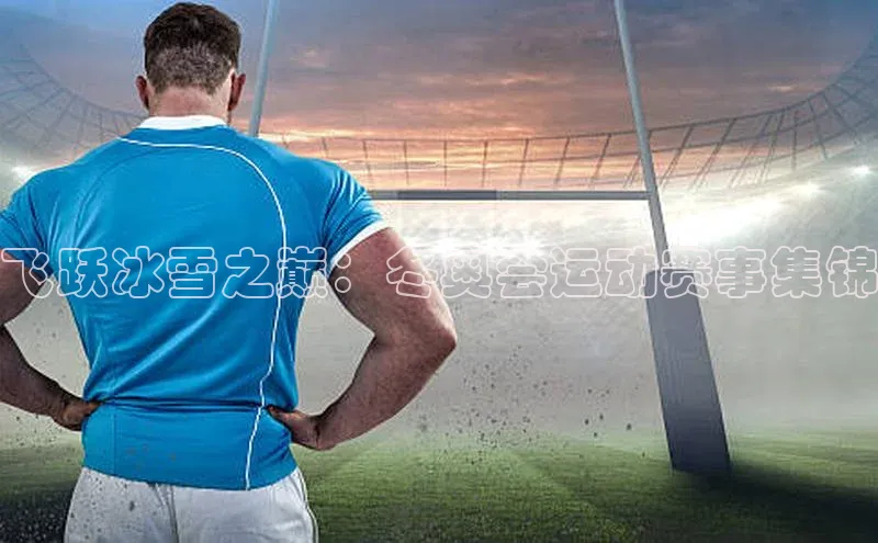 飞跃冰雪之巅：冬奥会运动赛事集锦