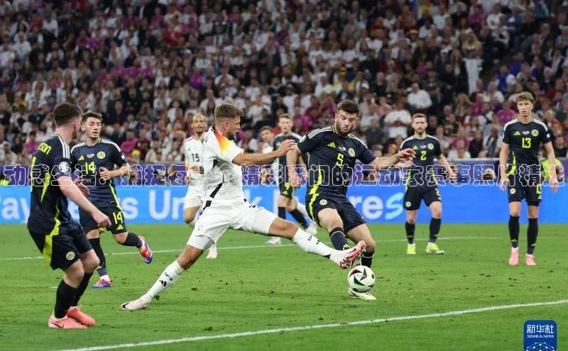 动感生活：捕捉每一个精彩瞬间的运动家赛事照片精选