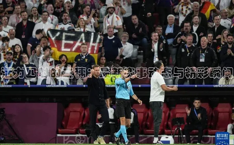 活力四射的三穗：最新赛事动态与精彩瞬间