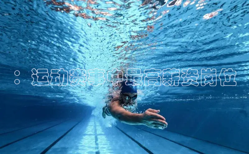 ：运动赛事中最高薪资岗位