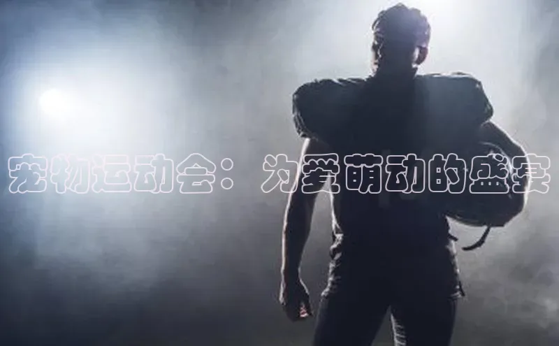 宠物运动会：为爱萌动的盛宴