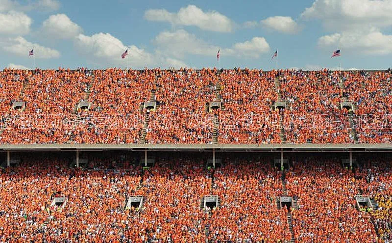 田径运动赛事高级别分析：从奥运会到世界锦标赛的跨越