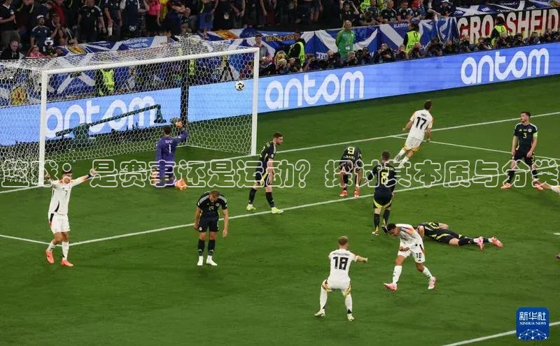 篮球：是赛事还是运动？探讨其本质与分类