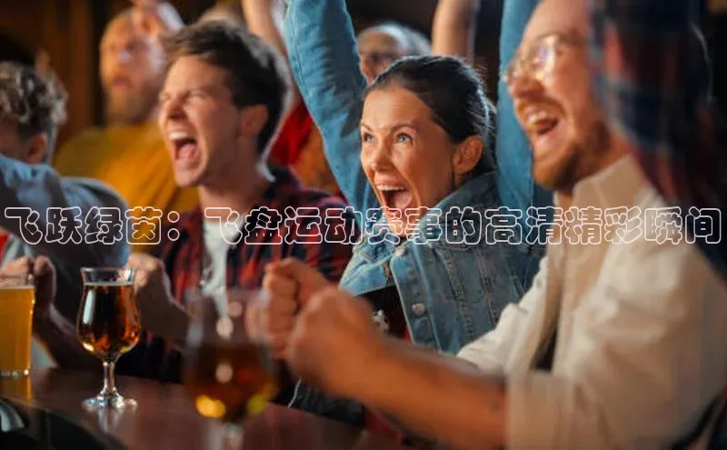 飞跃绿茵：飞盘运动赛事的高清精彩瞬间